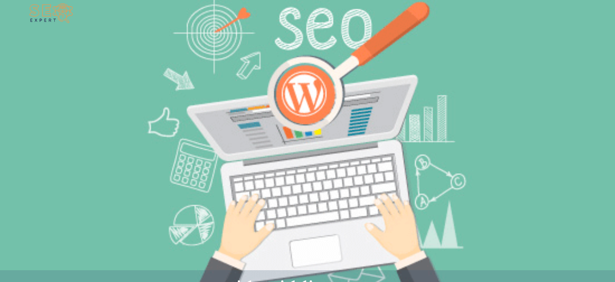 WordPress SEO Consultant in the Bahawalpur