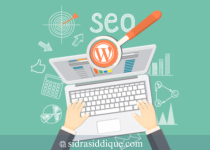 WordPress SEO Consultant in the Bahawalpur