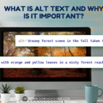 What is Alt Text and Why is it Important?